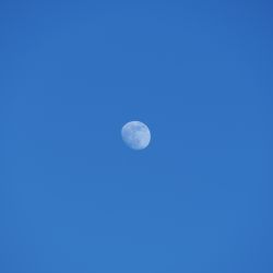 Луна в голубом небе