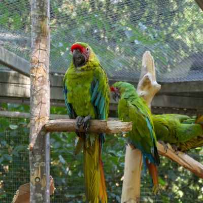 Zoo de Mulhouse