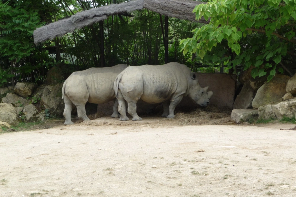 Amneville Zoo-45