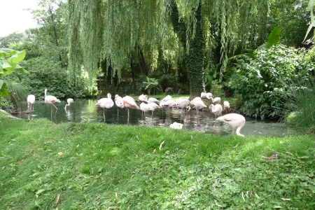 Amneville Zoo-3