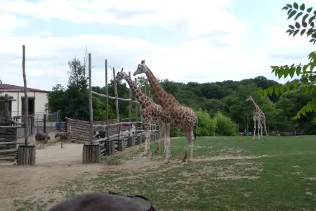 Amneville Zoo-27