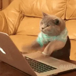 Кот-хакер