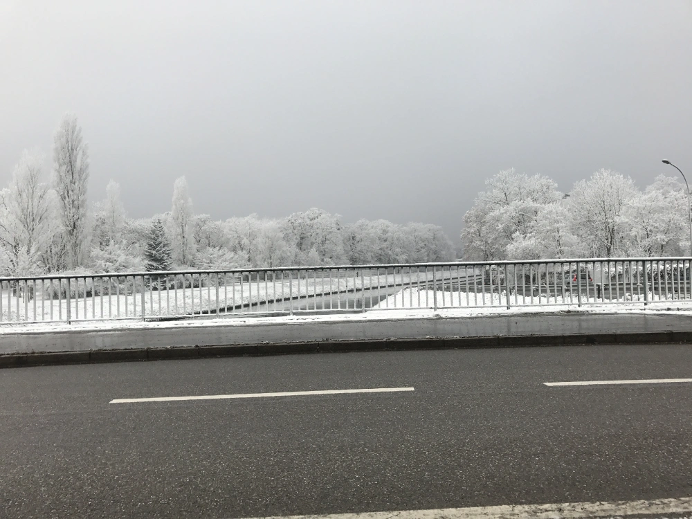 White Strasbourg 2016