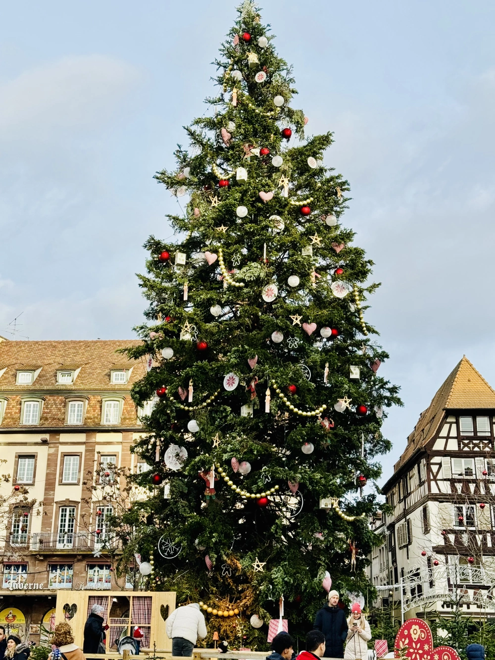 Strasbourg Christmas Tree 2024