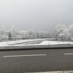 White Strasbourg 2016