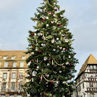 Strasbourg Christmas Tree 2024