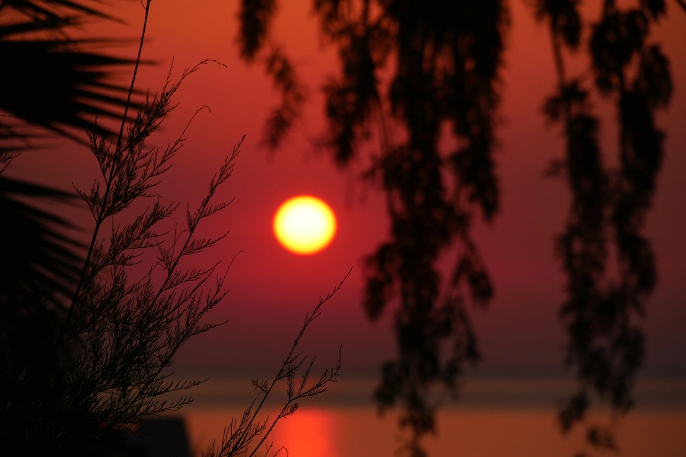 Sunrise in Roquebrune-sur-Argens