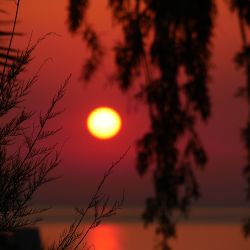 Sunrise in Roquebrune-sur-Argens