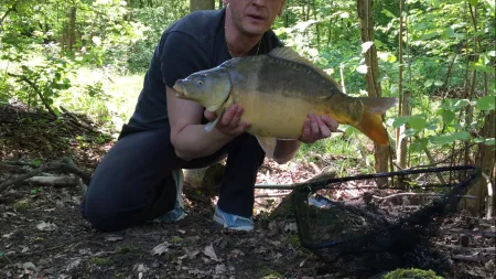 Carpe miroir de 5,4 kg