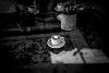 Light on the Coffee Table