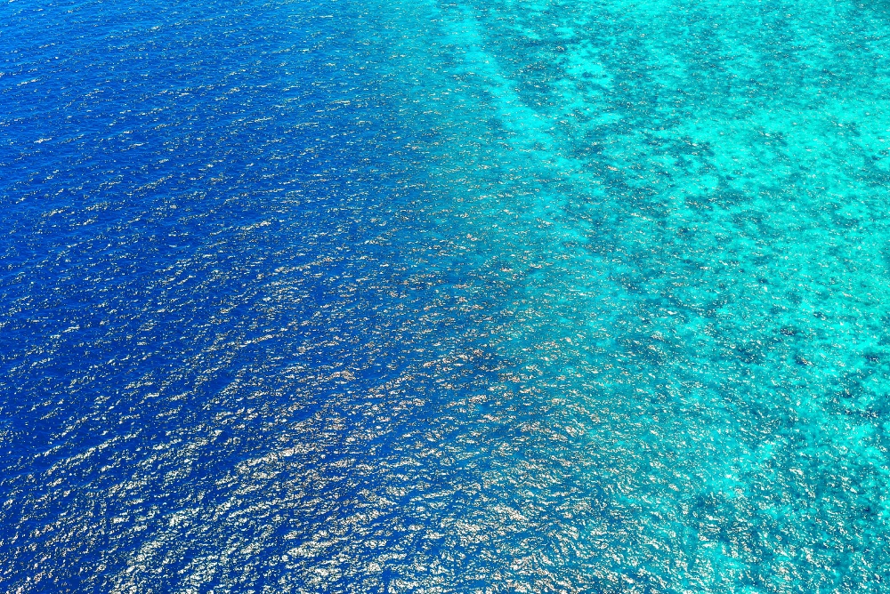 Sea Wallpaper