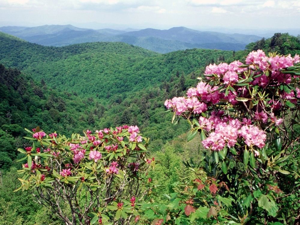 Blue Ridge Parkway