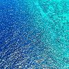 Sea Wallpaper