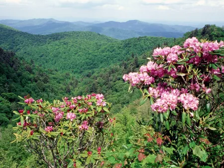 Blue Ridge Parkway